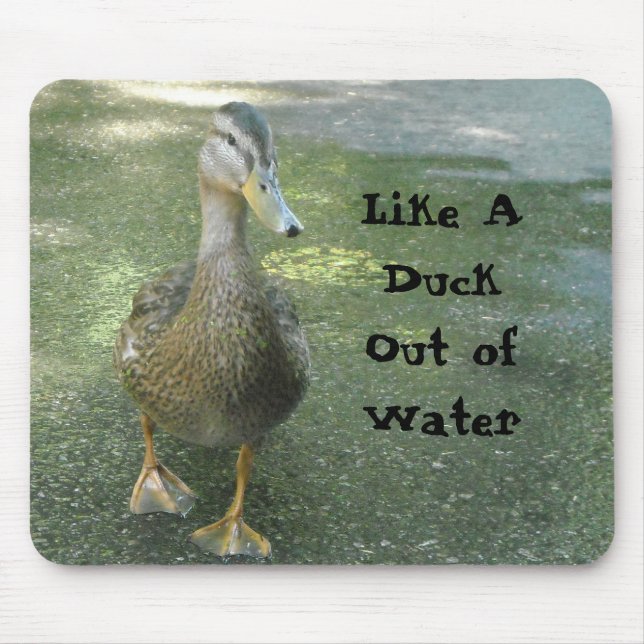 Like A Duck Out of Water Mouse Pad (Front)