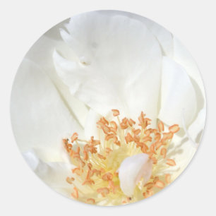 Like a feather 2 Round Sticker