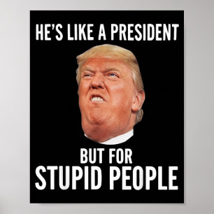Like A President But For Stupid People Funny Poster