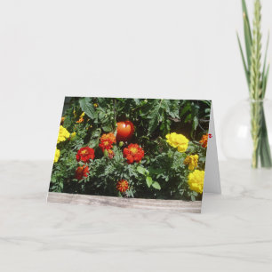 "Like A Red Rubber Ball" Get Well Card