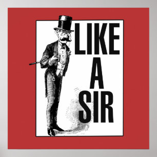 Like a SIR Poster