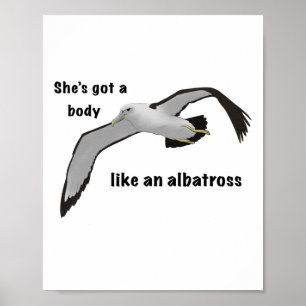 Like An Albatross Sticker Poster