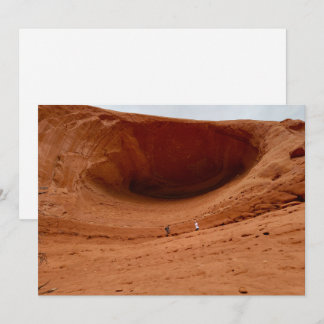 Like Ants Holiday Card