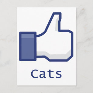 Like Cats Postcard