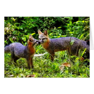 LIKE FATHER LIKE SON