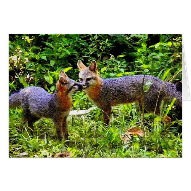 LIKE FATHER LIKE SON (Front Horizontal)