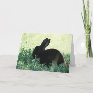 Lil Black Bunny Card