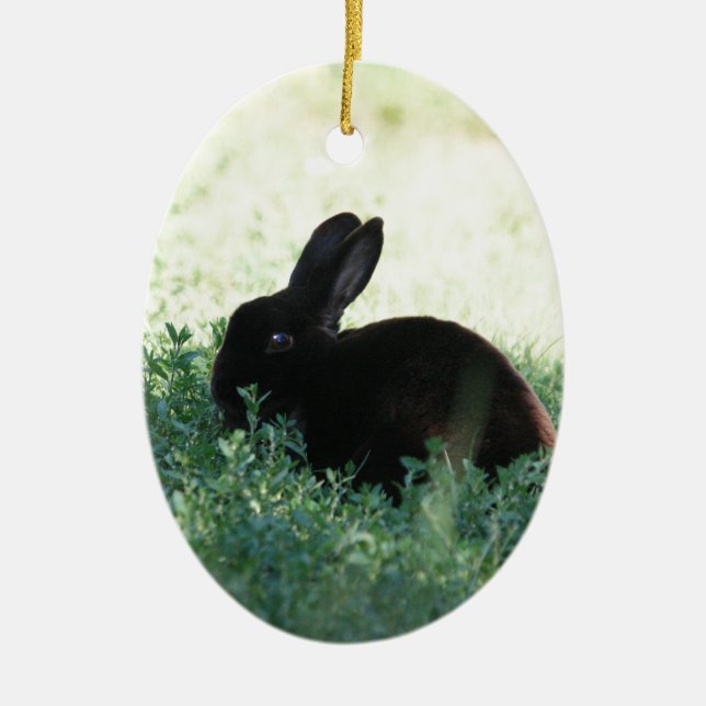 Lil Black Bunny Ceramic Ornament (Front)