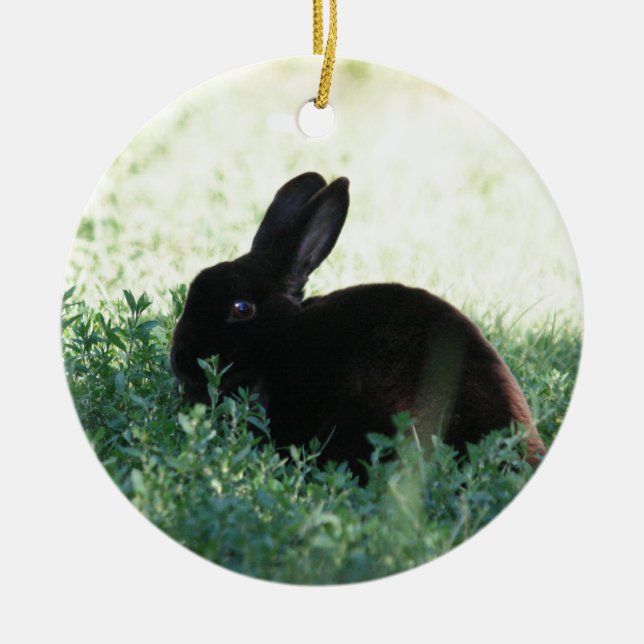 Lil Black Bunny Ceramic Tree Decoration (Front)