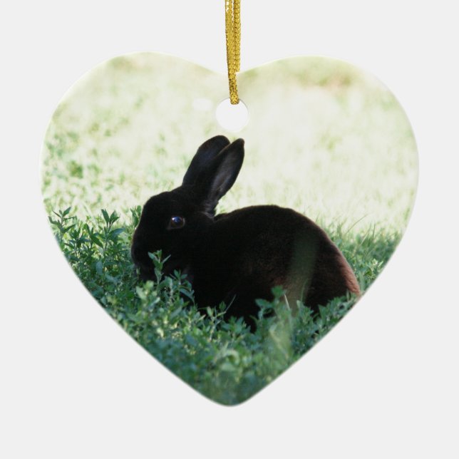 Lil Black Bunny Ceramic Tree Decoration (Front)