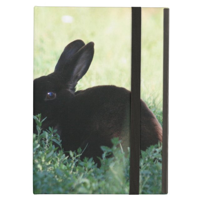 Lil Black Bunny iPad Air Case (Front Closed)