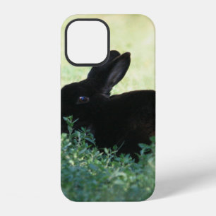 Lil Black Bunny iPhone Case