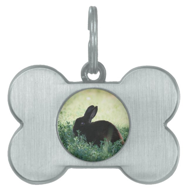 Lil Black Bunny Pet Name Tag (Front)