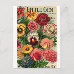 lil gem seed pack postcard