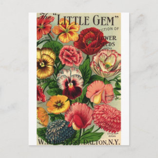 lil gem seed pack postcard