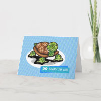 Lil Green Turtle Belated Birthday