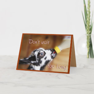 Lil Kid 4801 PL- customise any occasion Holiday Card