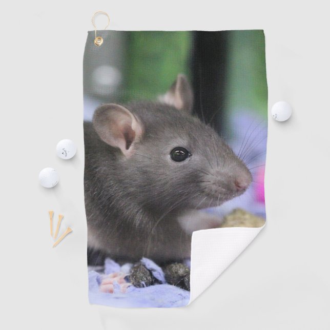 Lil rat golf towel (InSitu)