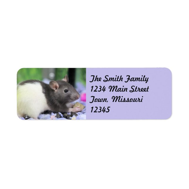 Lil rat return address label (Front)