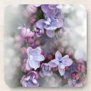 Lilac blooming coaster