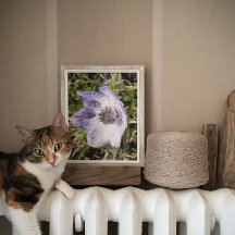 Lilac Blue Anemone Coronaria Wild Flower Painting