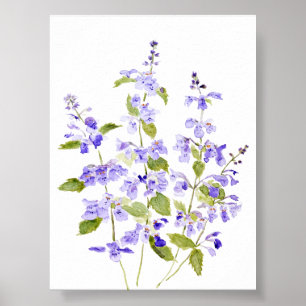 lilac-blue purple violet Nepeta racemosa Walker's  Poster
