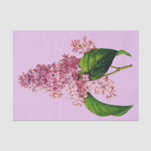 Lilac Branch Botanical 10" X 15" Tissue Paper
