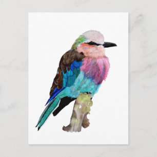Lilac Breasted Roller Bird Postcard
