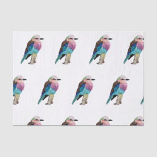 Lilac Breasted Roller Bird Tissue Paper