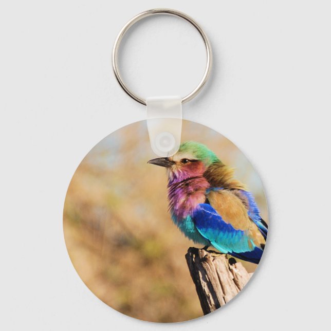 Lilac-Breasted Roller Colourful African Bird Key Ring (Front)