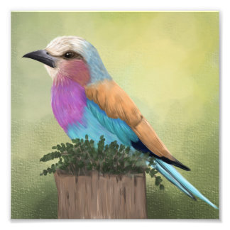 Lilac-Breasted Roller Colourful Bird Art Photo Print