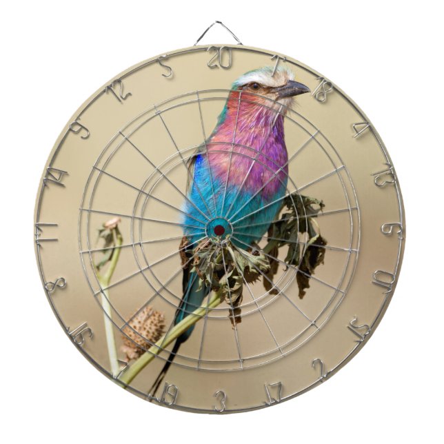 Lilac breasted Roller Dartboard (Front)