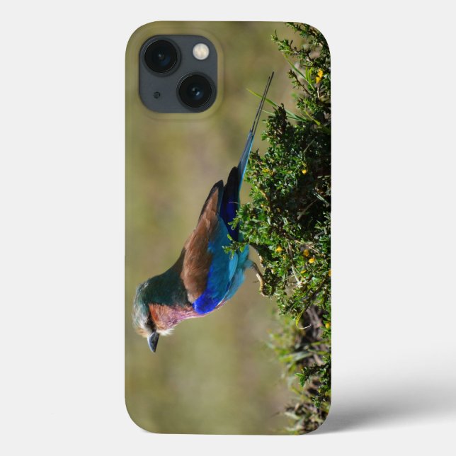 Lilac Breasted Roller iPad Mini case (Back)