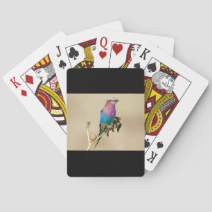 Lilac breasted Roller Playing Cards