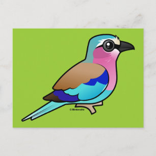 Lilac-breasted Roller Postcard