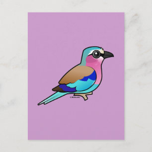 Lilac-breasted Roller Postcard
