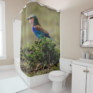 Lilac Breasted Roller Shower Curtain