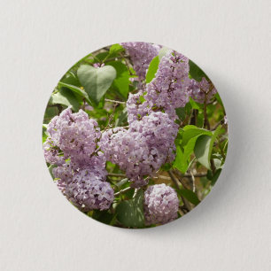 Lilac Bush Beautiful Purple Spring Flowers 6 Cm Round Badge