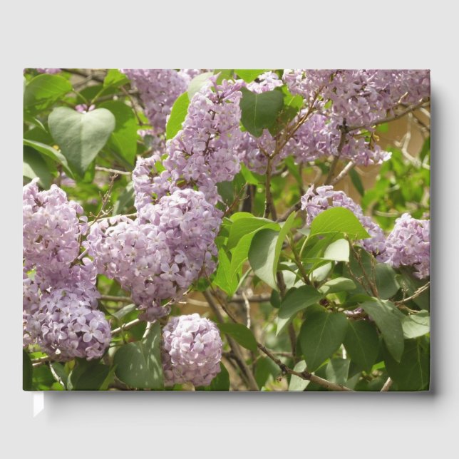 Lilac Bush Beautiful Purple Spring Flowers Guest Book (Front)