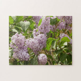 Lilac Bush Beautiful Purple Spring Flowers Jigsaw Puzzle