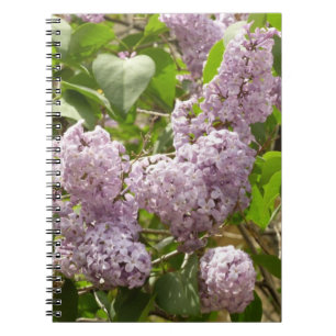 Lilac Bush Beautiful Purple Spring Flowers Notebook