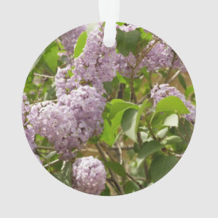 Lilac Bush Beautiful Purple Spring Flowers Ornament