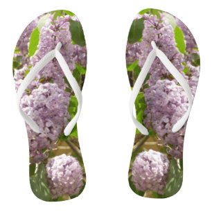 Lilac Bush Beautiful Purple Spring Flowers Thongs