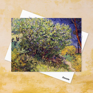 Lilac Bush Landscape Vincent van Gogh Postcard