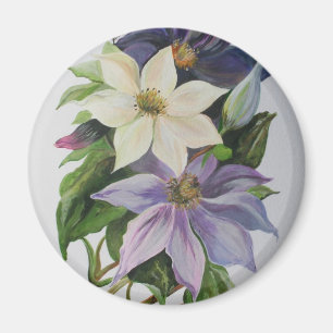 Lilac Clematis Magnet