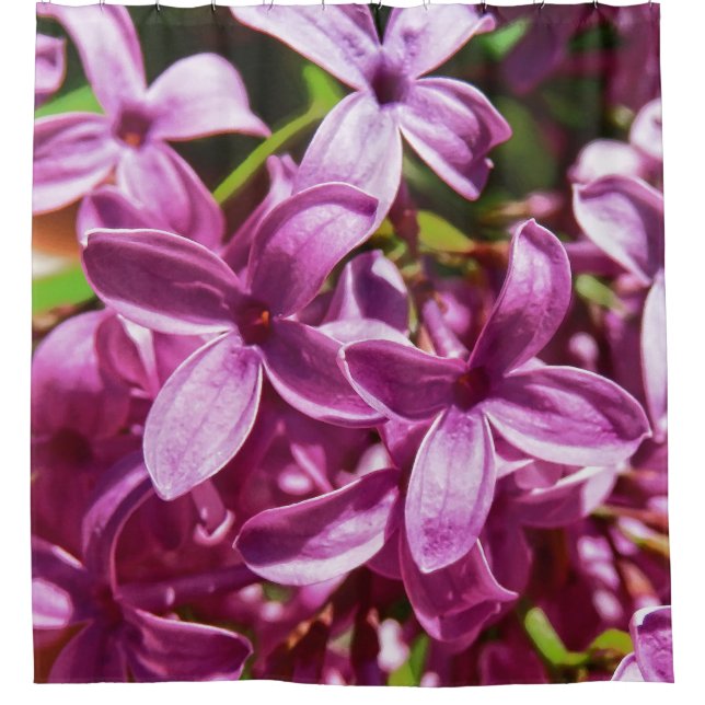 Lilac Closeup Shower Curtain (Front)