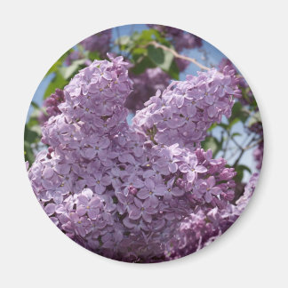 Lilac cluster magnet