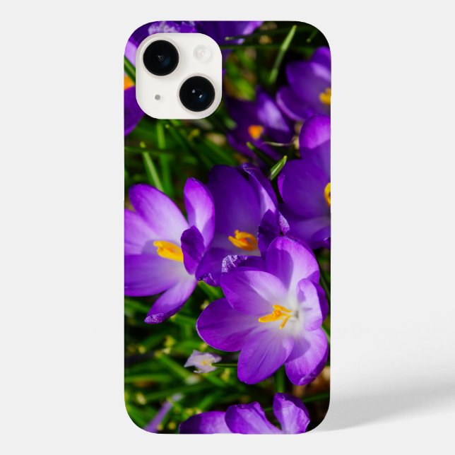 Lilac Crocuses iPhone Case (Back)