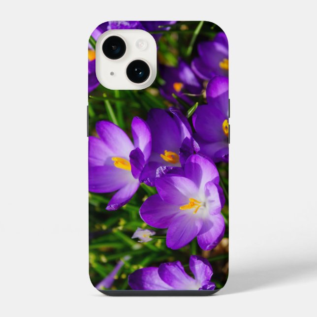 Lilac Crocuses iPhone Case (Back)