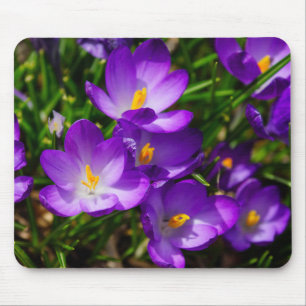 Lilac Crocuses Mouse Pad
